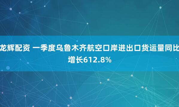 龙辉配资 一季度乌鲁木齐航空口岸进出口货运量同比增长612.8%