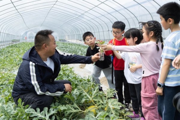 配亿多配资 一份认领“专属甜蜜”，这片种西瓜的土地上长出爱的“藤蔓”