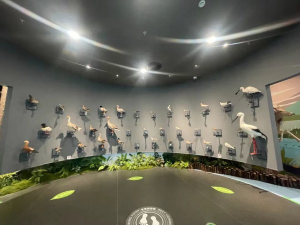 赢赢顺配资 全省首个！免费开放