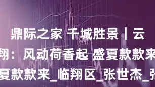 鼎际之家 千城胜景｜云南临沧临翔：风动荷香起 盛夏款款来_临翔区_张世杰_张涛