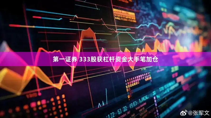 第一证券 333股获杠杆资金大手笔加仓